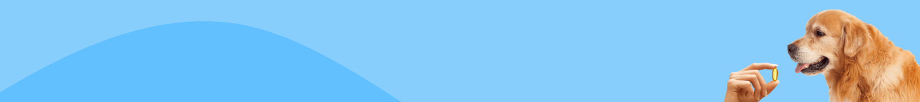 Vitamins & Supplements