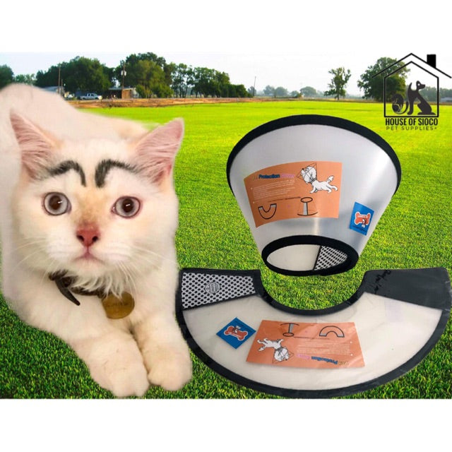 Pet E-Collar Transparent Protective Cone