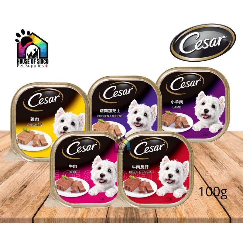 Cesar Gourmet Wet Dog Food 100g