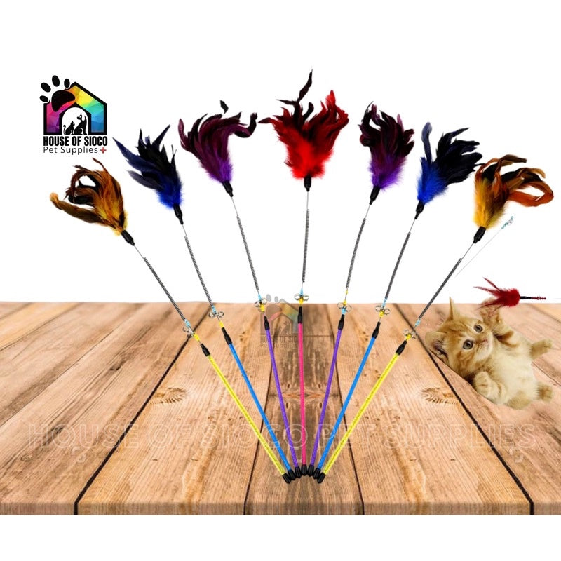 Long Cat Teaser with Feathers