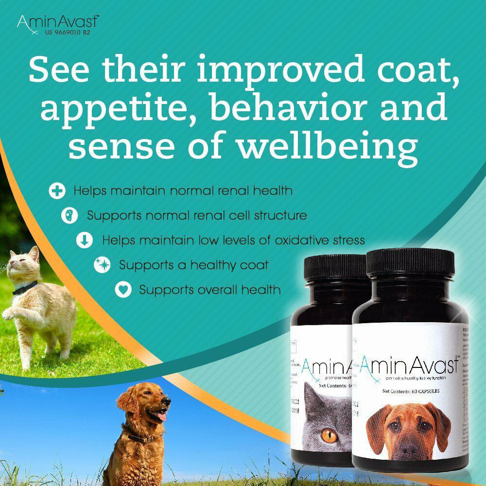 AminAvast Kidney Support For Dogs 1000mg Per Capsule (PRESCRIPTION REQUIRED)