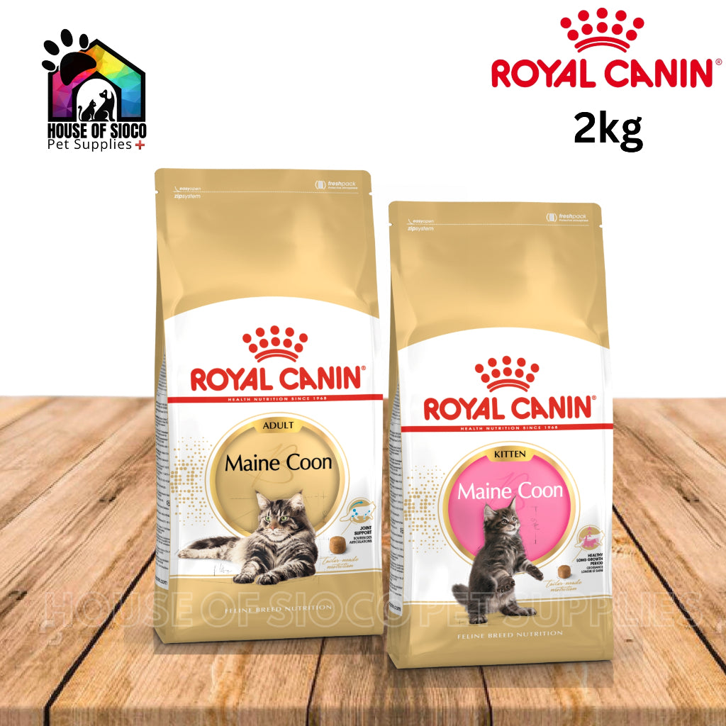 Royal Canin Maine Coon Adult & Kitten (2kg) Dry Cat Food - Feline Breed Nutrition