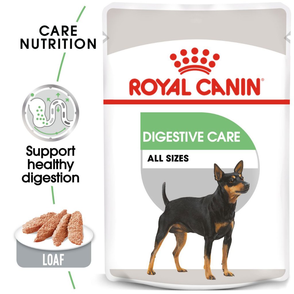 Royal Canin Digestive Loaf (85g) Adult Wet Dog Food - Canine Care Nutrition