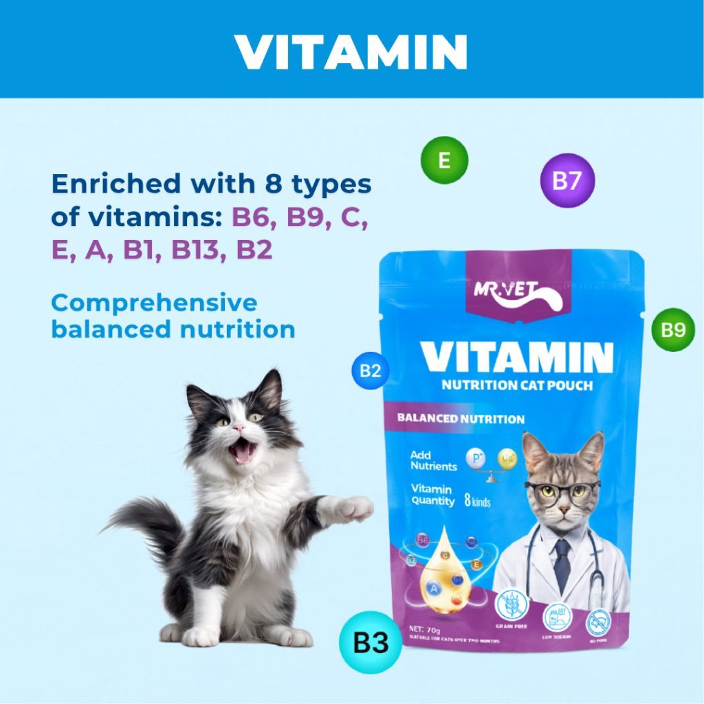 Mr. Vet Nutrition Cat Pouch 70g