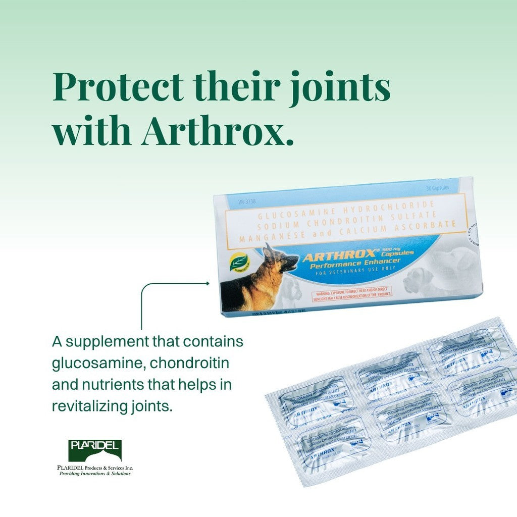 Arthrox Anti-Inflammatory / Anti-Rheumatic For Dogs Per Capsule