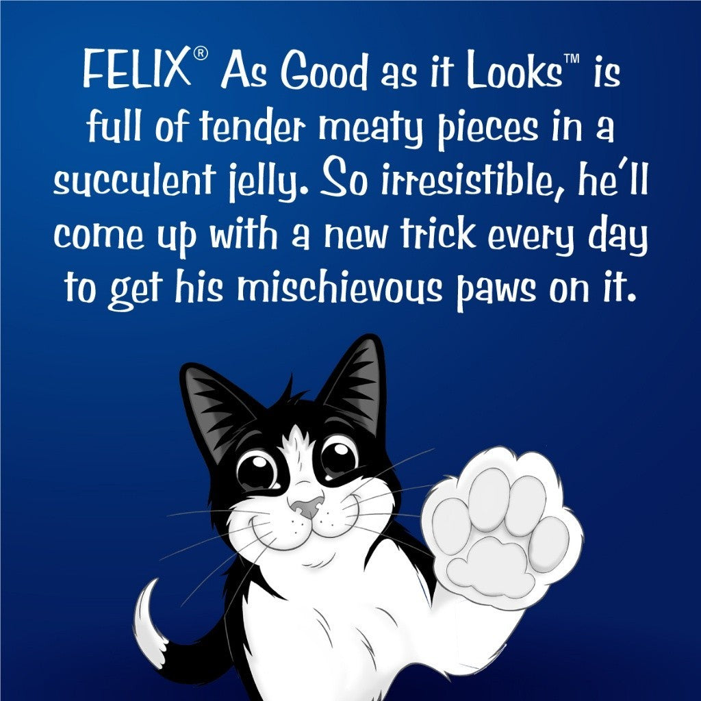 Purina Felix Wet Cat Food 85g